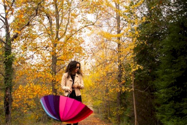 The Umbrella Academy Final Season