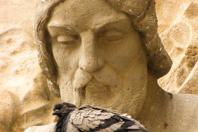 Bird Box Barcelona Review