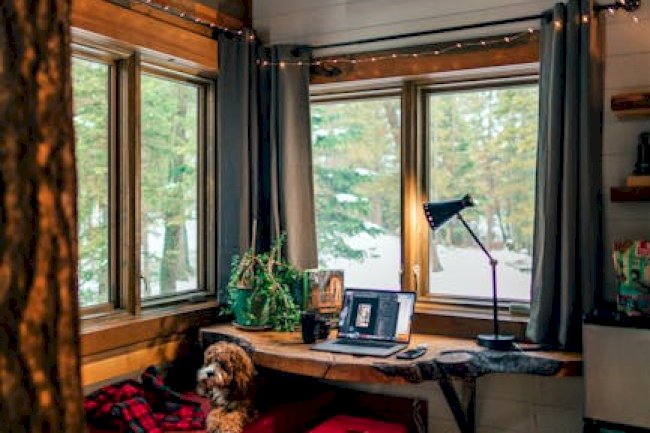 Maestro Netflix Movie Review