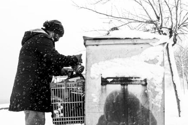 Society of the Snow Review