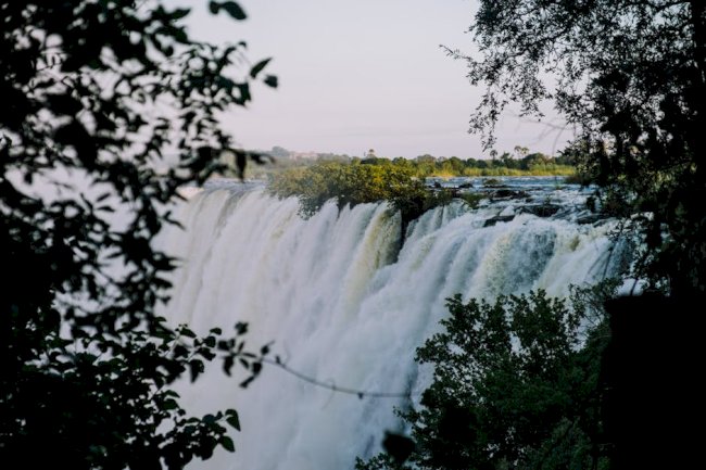 The Wonder Florence Pugh Review