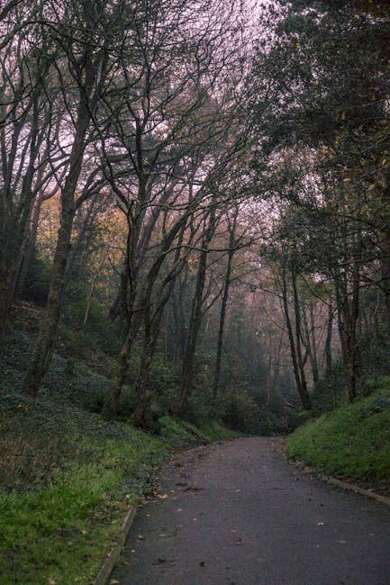 Dark Desire Season 3