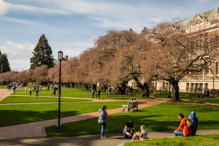 The Society Season 2