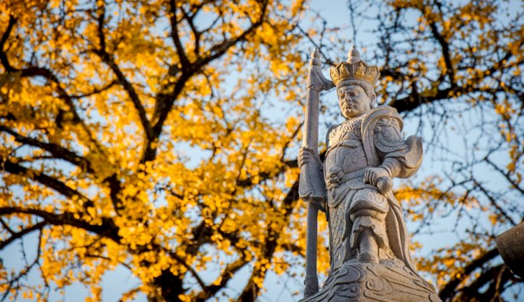 Warrior Nun Season 3