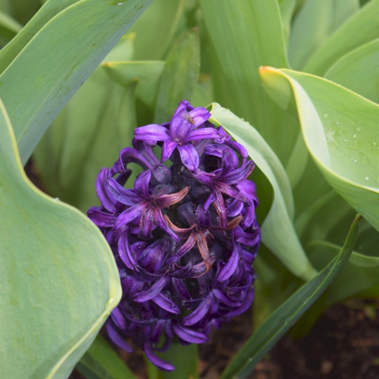 Hidden Gem Movies Netflix