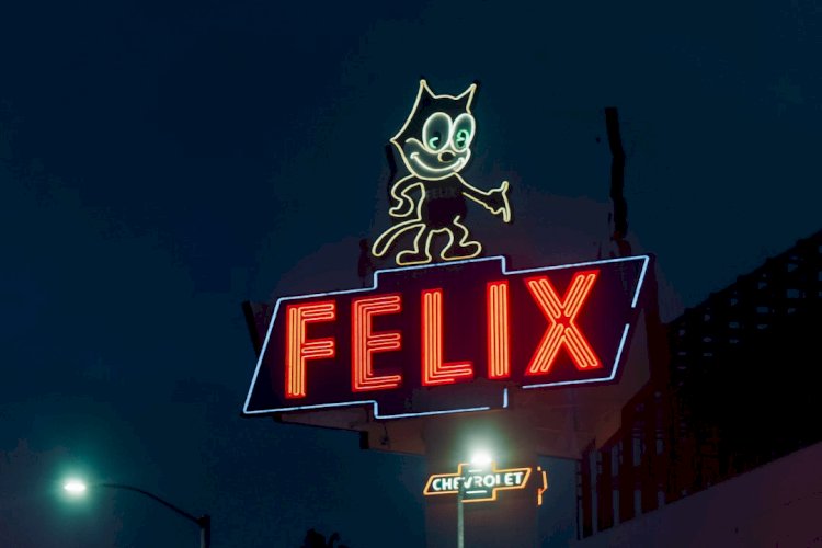 XO Kitty Netflix Review